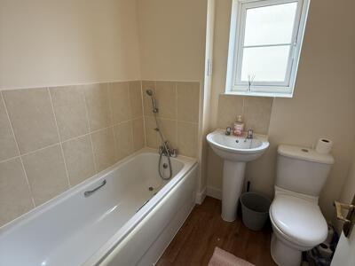 Picture 13